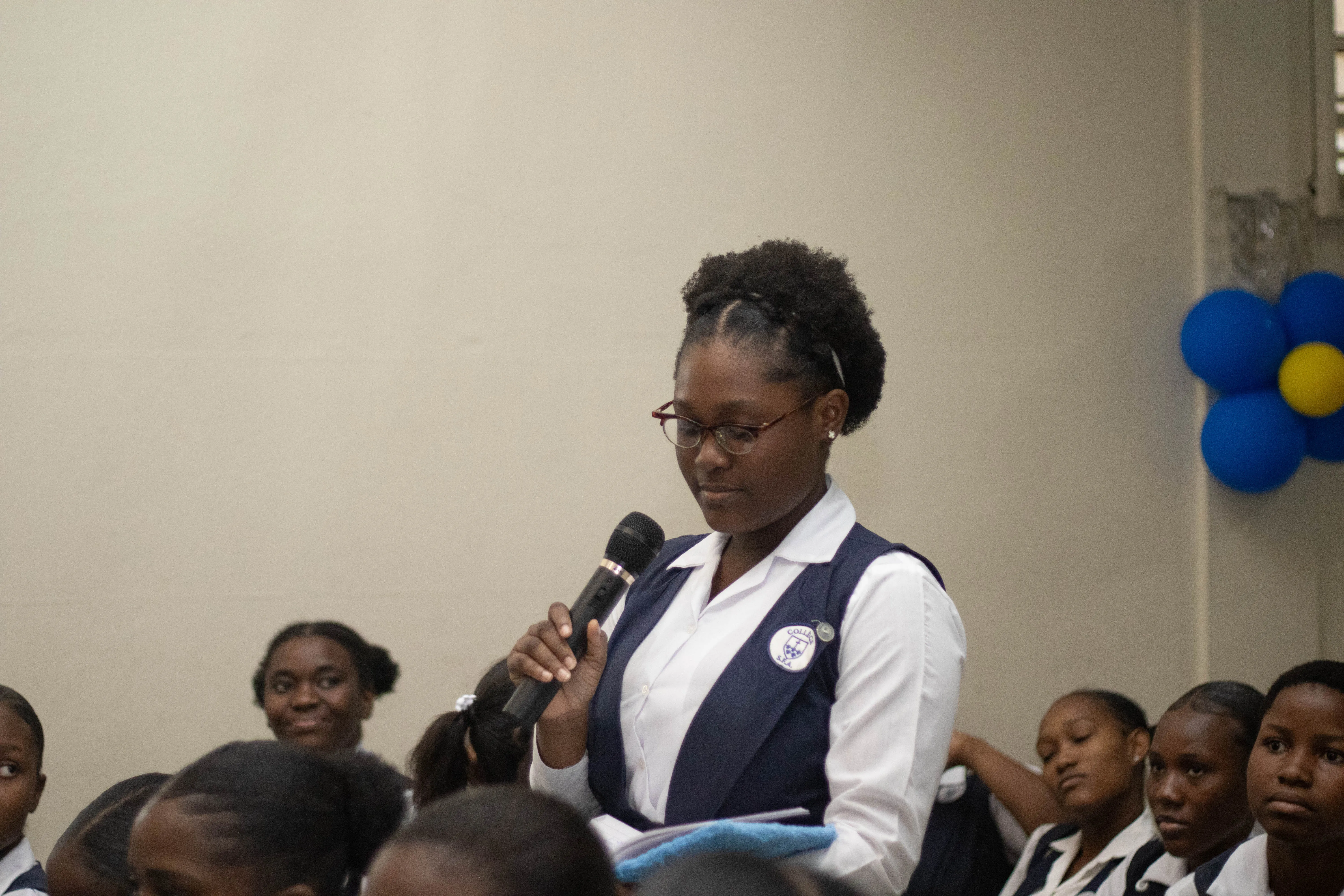 Description de l'image 29