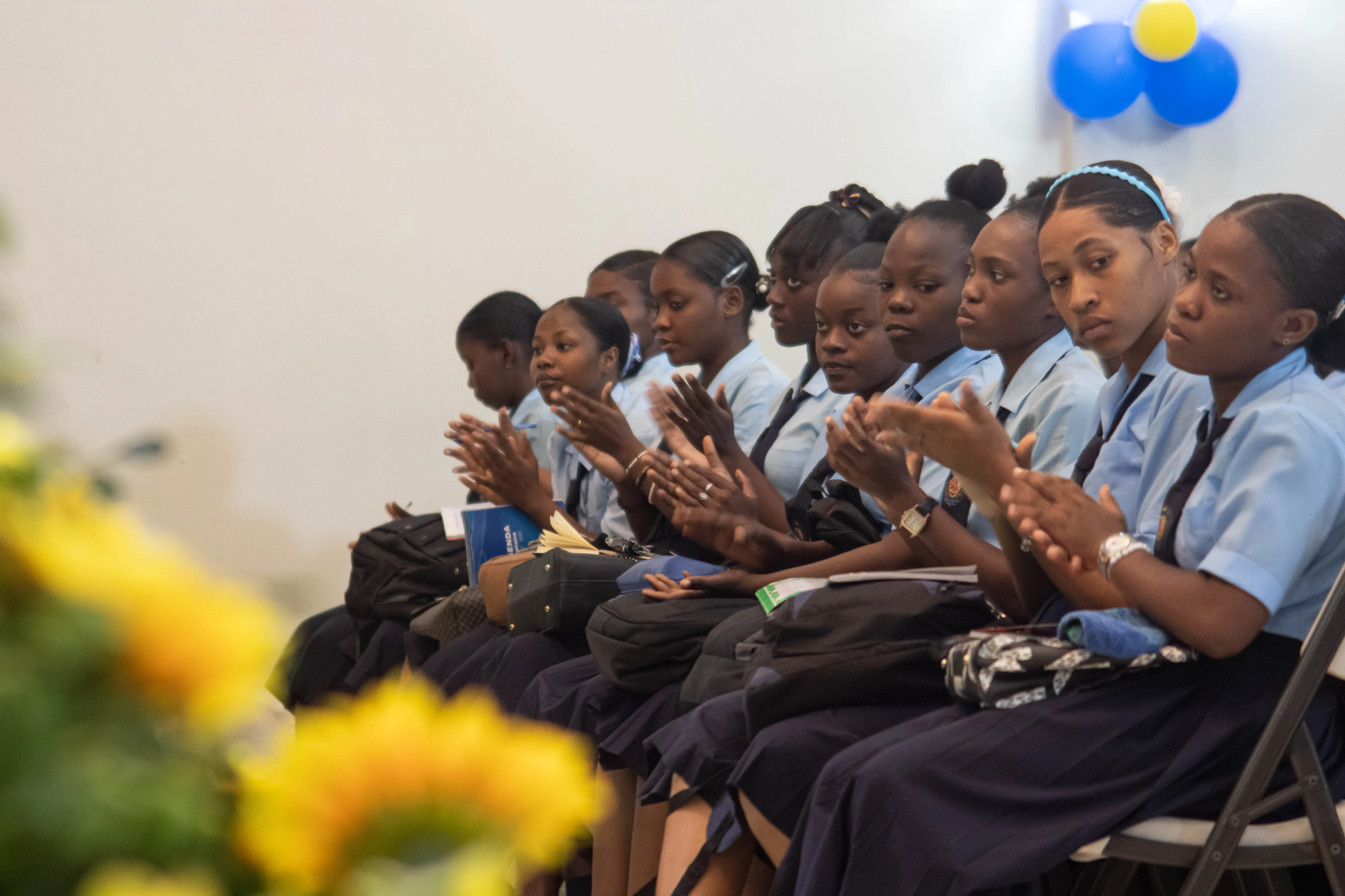 Description de l'image 30